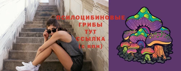 spice Кулебаки