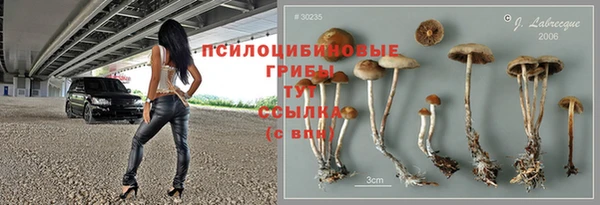 соль ск Куйбышев
